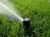 Service of lawn sprinklers